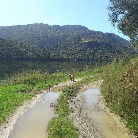 Casa De Freixo Tatil Evi *