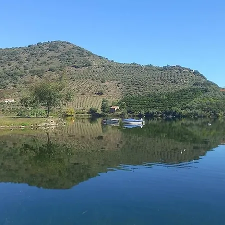 Casa De Freixo Tatil Evi