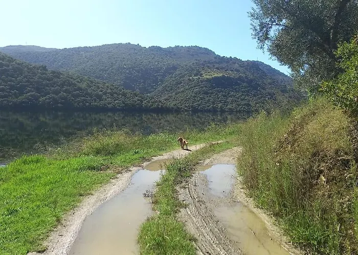 Casa De Freixo Feriehus *